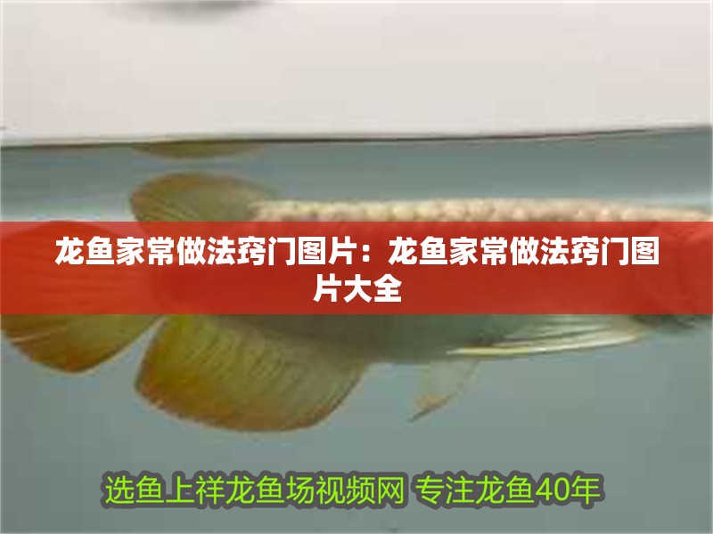 龍魚家常做法竅門圖片：龍魚家常做法竅門圖片大全