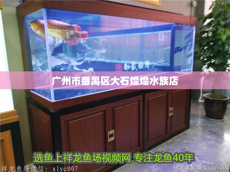 廣州市番禺區大石煌煌水族店 廣州市番禺區大石煌煌水族店 全國水族館企業名錄 第2張
