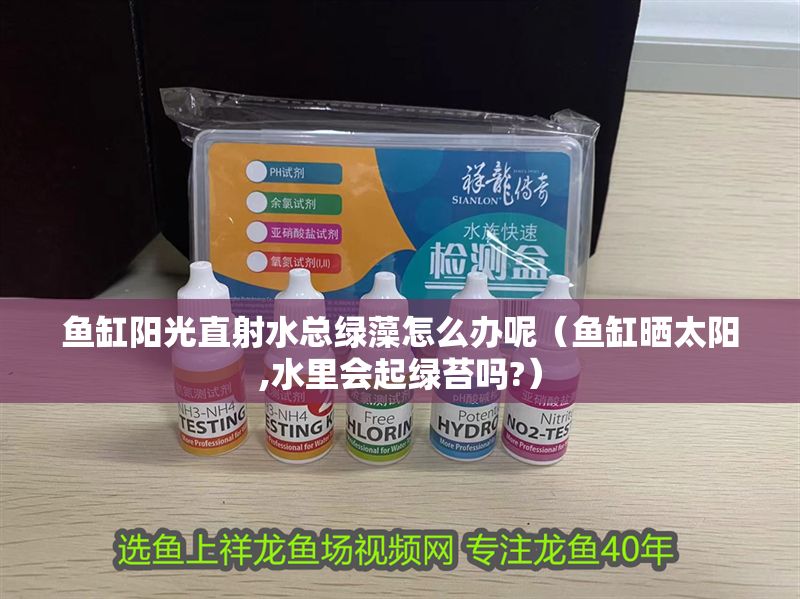 魚缸陽光直射水總綠藻怎么辦呢（魚缸曬太陽,水里會(huì)起綠苔嗎?）