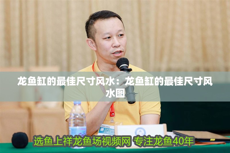 龍魚缸的最佳尺寸風水：龍魚缸的最佳尺寸風水圖