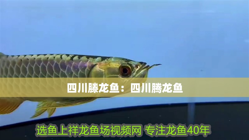 博特水泵售后服務(wù)電話(huà)(博特水泵售后服務(wù)站哪里有)