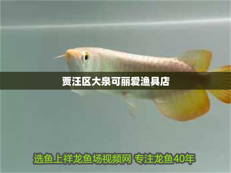 賈汪區(qū)大泉可麗愛漁具店