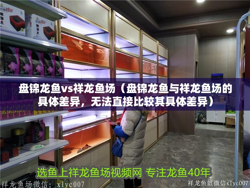 盤錦龍魚vs祥龍魚場（盤錦龍魚與祥龍魚場的具體差異，無法直接比較其具體差異）