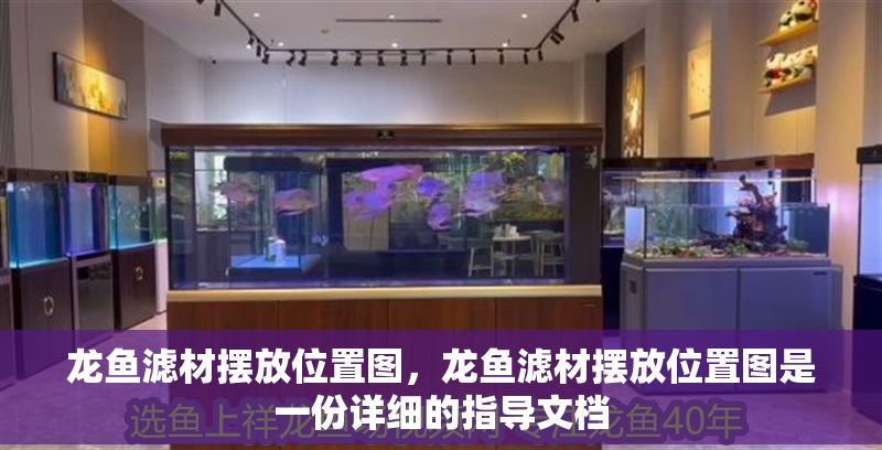 龍魚濾材擺放位置圖，龍魚濾材擺放位置圖是一份詳細的指導文檔