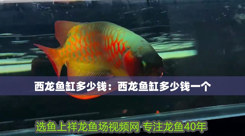 新余魚缸定做店地址查詢大全(新余魚缸定做店地址查詢大全電話) 新余魚缸定做店地址查詢大全(新余魚缸定做店地址查詢大全電話) 魚缸百科