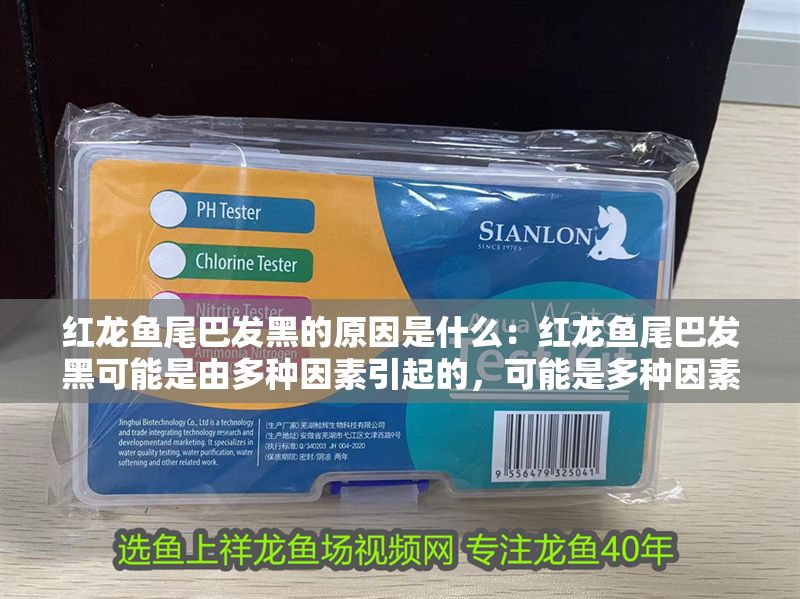 紅龍魚(yú)尾巴發(fā)黑的原因是什么：紅龍魚(yú)尾巴發(fā)黑可能是由多種因素引起的，可能是多種因素引起的