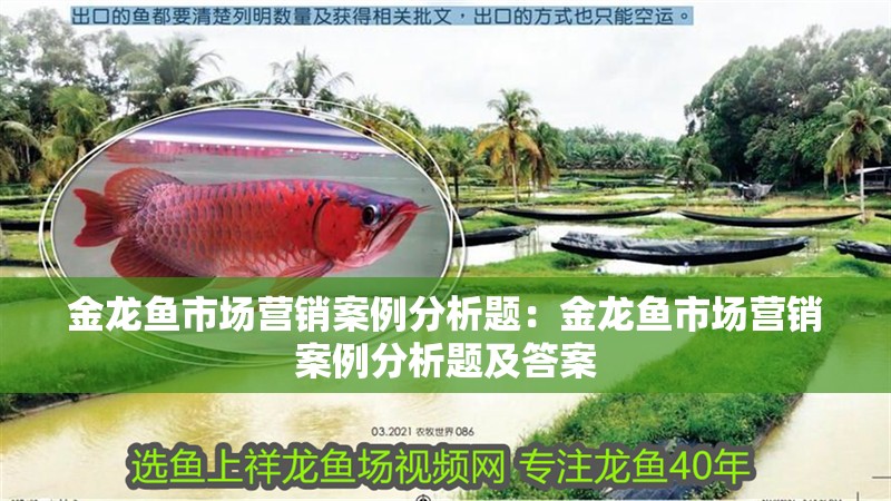 金龍魚市場營銷案例分析題：金龍魚市場營銷案例分析題及答案