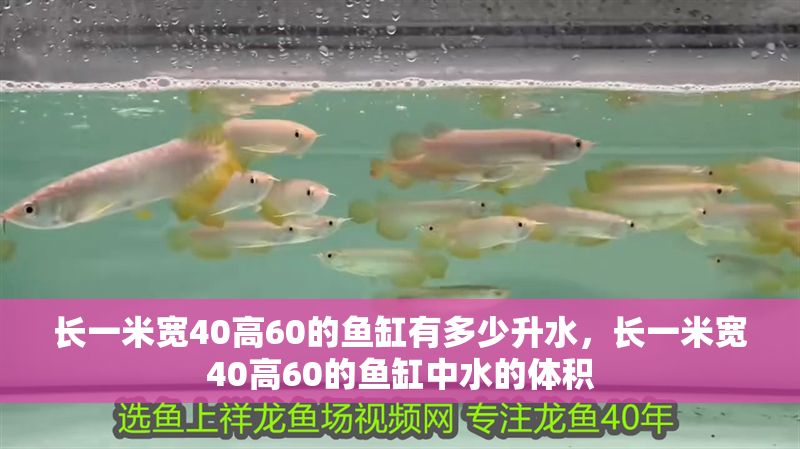 長一米寬40高60的魚缸有多少升水，長一米寬40高60的魚缸中水的體積