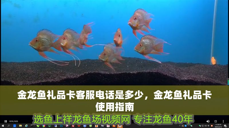 金龍魚禮品卡客服電話是多少，金龍魚禮品卡使用指南