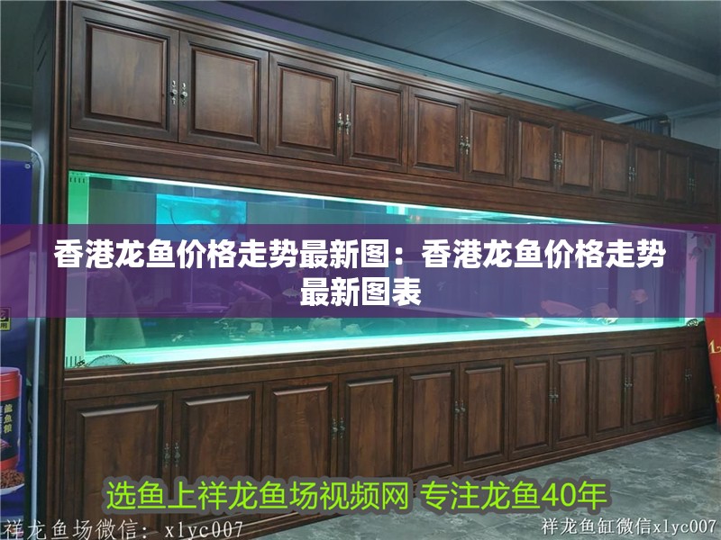 香港龍魚價(jià)格走勢(shì)最新圖：香港龍魚價(jià)格走勢(shì)最新圖表