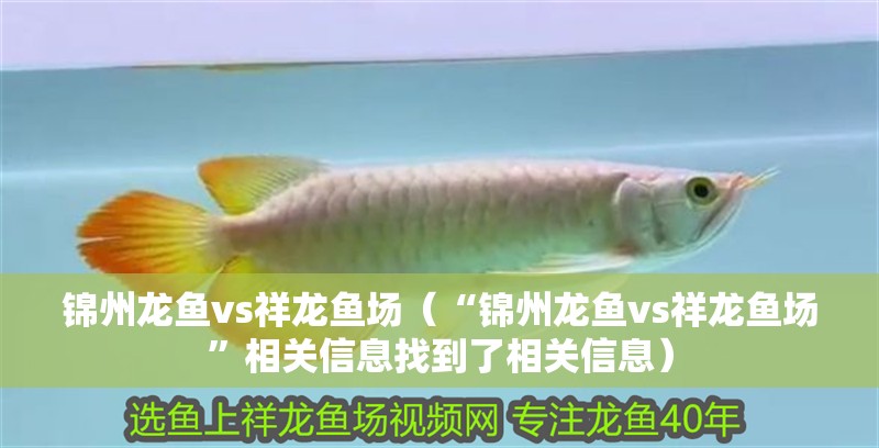 錦州龍魚vs祥龍魚場（“錦州龍魚vs祥龍魚場”相關信息找到了相關信息）