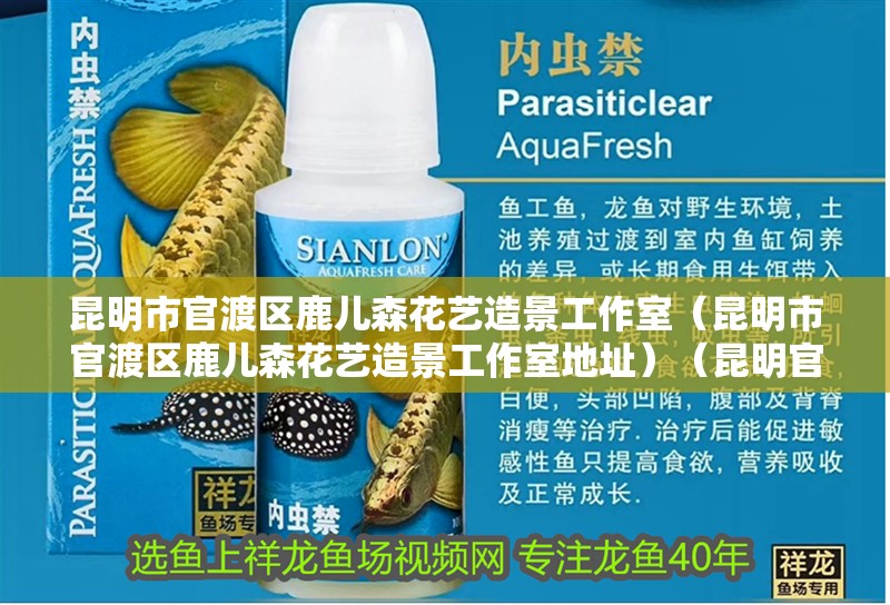 昆明市官渡區(qū)鹿兒森花藝造景工作室（昆明市官渡區(qū)鹿兒森花藝造景工作室地址）（昆明官渡區(qū)鹿兒森花藝造景工作室） 昆明市官渡區(qū)鹿兒森花藝造景工作室（昆明市官渡區(qū)鹿兒森花藝造景工作室地址）（昆明官渡區(qū)鹿兒森花藝造景工作室） 全國水族館企業(yè)名錄