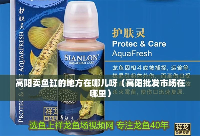 高陽賣魚缸的地方在哪兒呀（高陽批發(fā)市場(chǎng)在哪里）