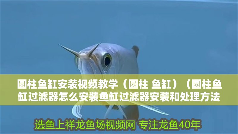 圓柱魚缸安裝視頻教學(xué)（圓柱 魚缸）（圓柱魚缸過(guò)濾器怎么安裝魚缸過(guò)濾器安裝和處理方法）