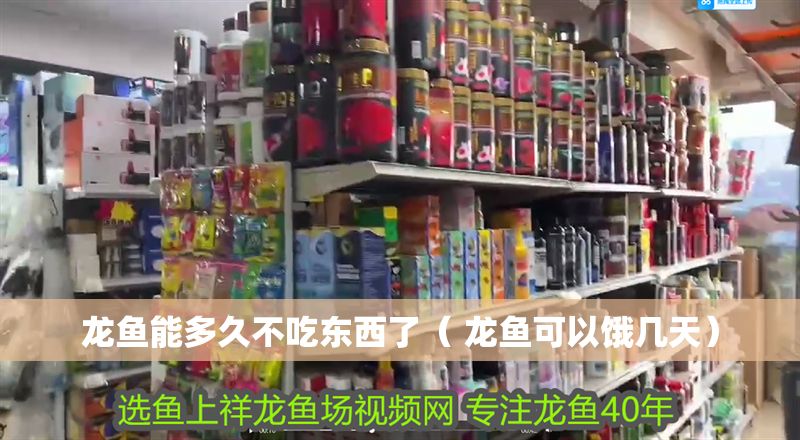 龍魚(yú)能多久不吃東西了（ 龍魚(yú)可以餓幾天）