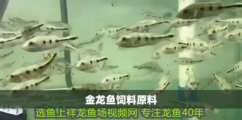 金龍魚飼料原料