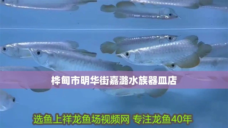 樺甸市明華街嘉潞水族器皿店