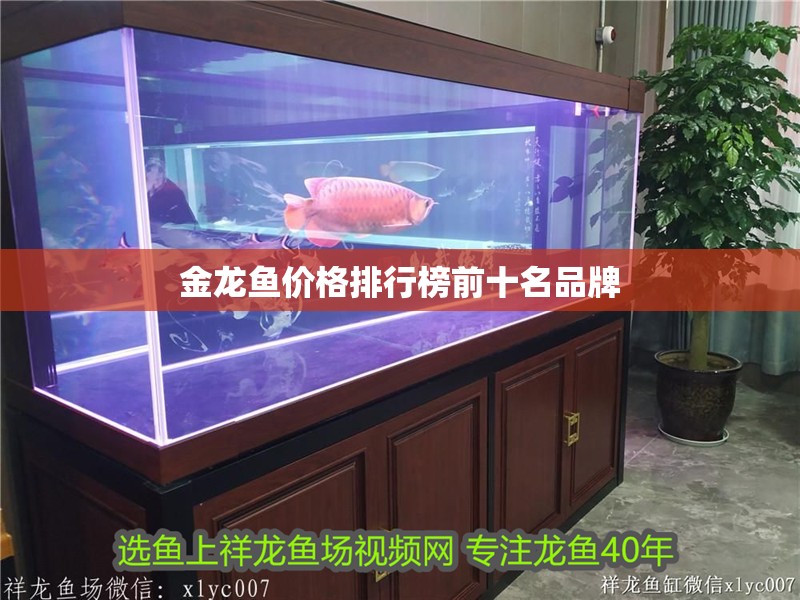 金龍魚價(jià)格排行榜前十名品牌