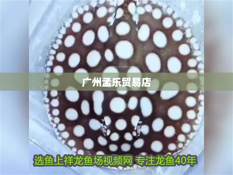 廣州孟樂貿易店