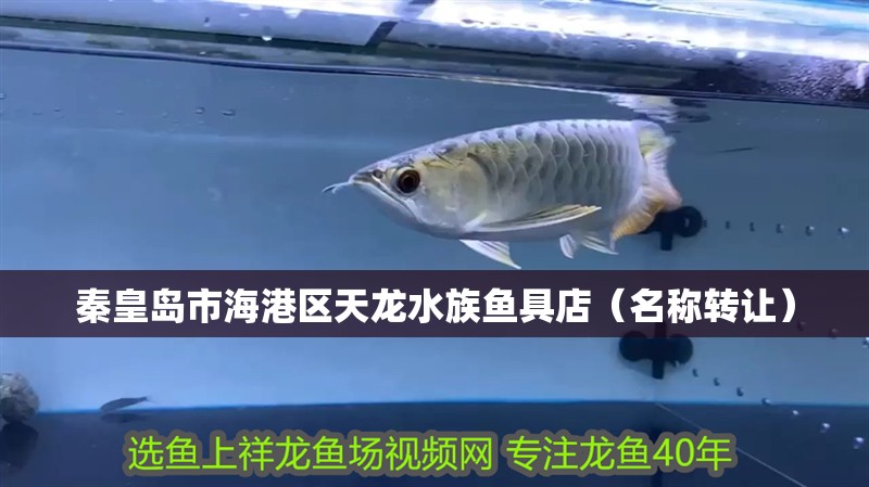 秦皇島市海港區天龍水族魚具店（名稱轉讓）