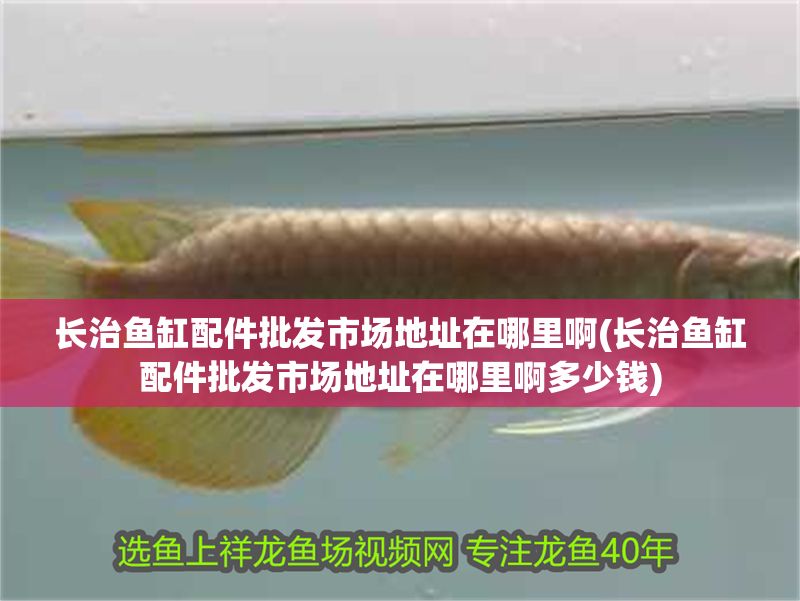 長治魚缸配件批發市場地址在哪里啊(長治魚缸配件批發市場地址在哪里啊多少錢)