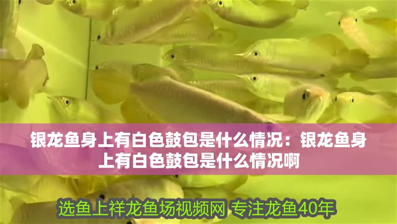 臺州二手魚缸市場（臺州二手魚缸市場在哪里）