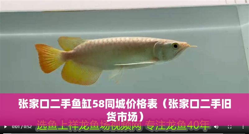 張家口二手魚缸58同城價格表（張家口二手舊貨市場）