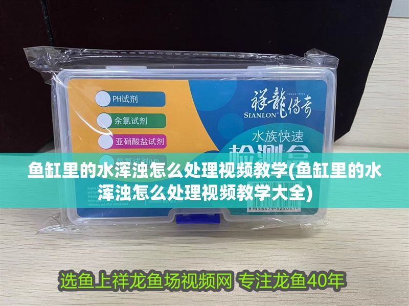 魚缸里的水渾濁怎么處理視頻教學(魚缸里的水渾濁怎么處理視頻教學大全) 魚缸里的水渾濁怎么處理視頻教學(魚缸里的水渾濁怎么處理視頻教學大全) 龍魚百科 第1張