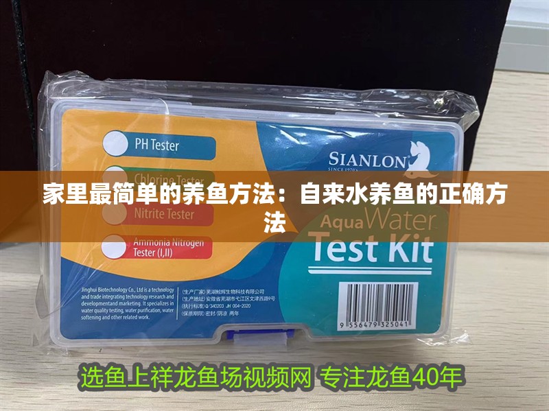 家里最簡單的養(yǎng)魚方法：自來水養(yǎng)魚的正確方法