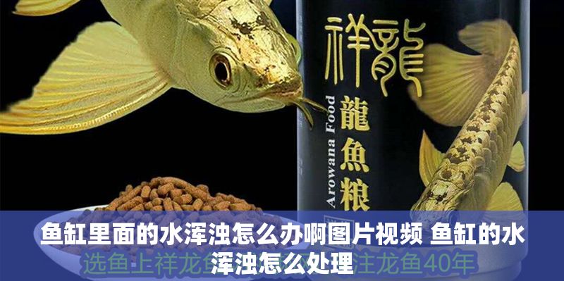 魚缸里面的水渾濁怎么辦啊圖片視頻 魚缸的水渾濁怎么處理