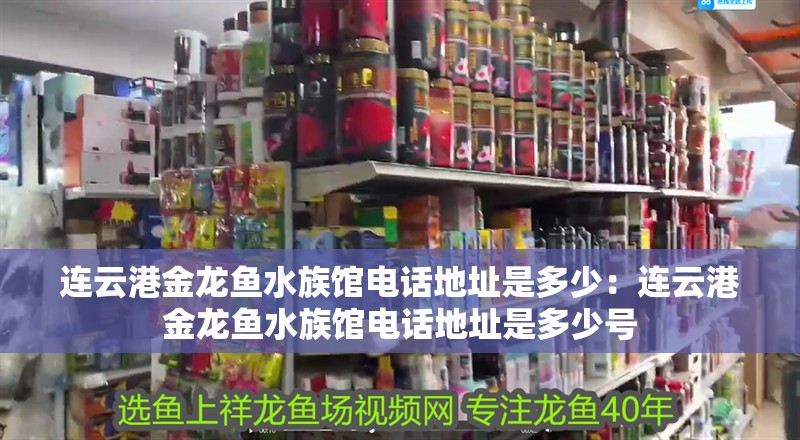 連云港金龍魚水族館電話地址是多少：連云港金龍魚水族館電話地址是多少號