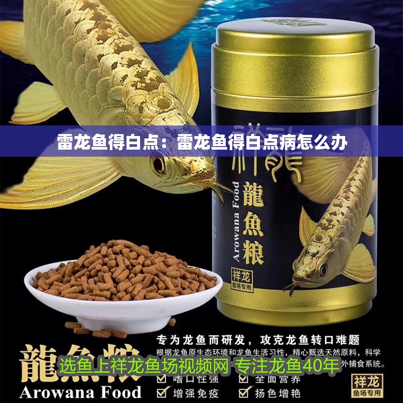 雷龍魚得白點：雷龍魚得白點病怎么辦