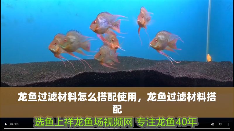 龍魚過濾材料怎么搭配使用，龍魚過濾材料搭配