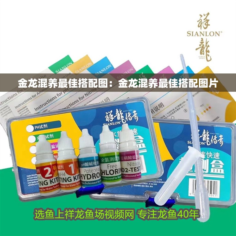 金龍混養(yǎng)最佳搭配圖：金龍混養(yǎng)最佳搭配圖片