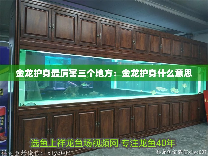 金龍護身最厲害三個地方：金龍護身什么意思