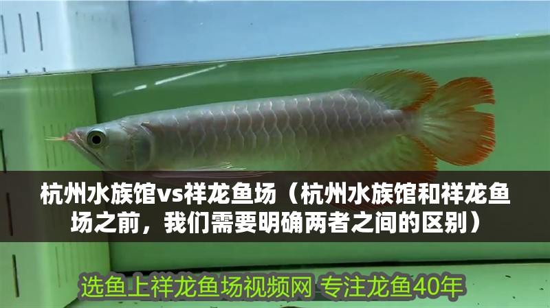 杭州水族館vs祥龍魚場（杭州水族館和祥龍魚場之前，我們需要明確兩者之間的區別）