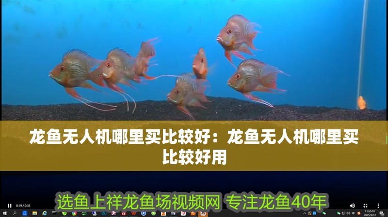 龍魚無人機哪里買比較好：龍魚無人機哪里買比較好用