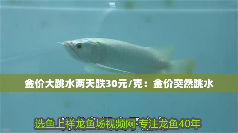 金價大跳水兩天跌30元/克：金價突然跳水