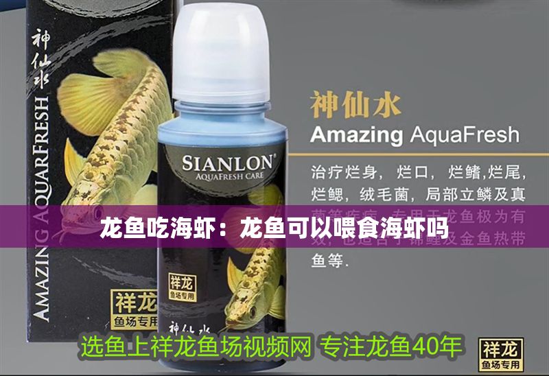 龍魚吃海蝦：龍魚可以喂食海蝦嗎