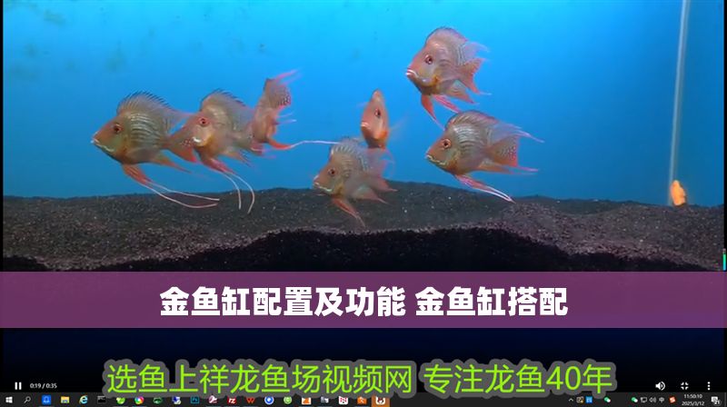 金魚缸配置及功能 金魚缸搭配 金魚缸配置及功能 金魚缸搭配 龍魚百科 第1張