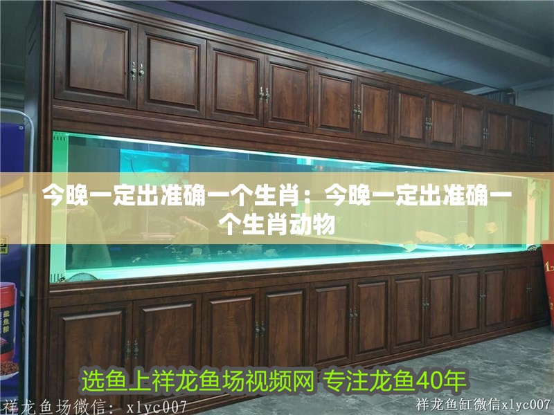 今晚一定出準確一個生肖：今晚一定出準確一個生肖動物 今晚一定出準確一個生肖：今晚一定出準確一個生肖動物 龍魚百科 第2張