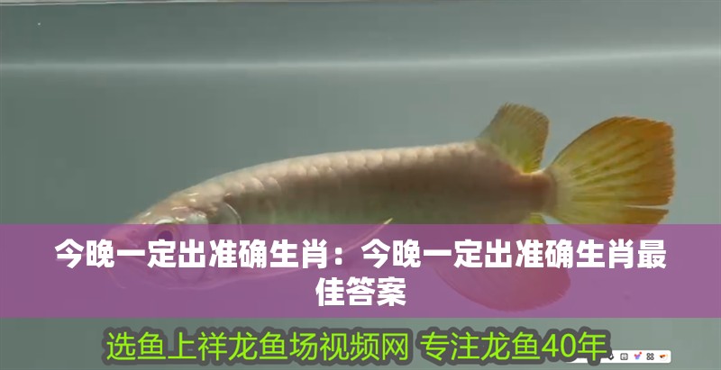 今晚一定出準確生肖：今晚一定出準確生肖最佳答案