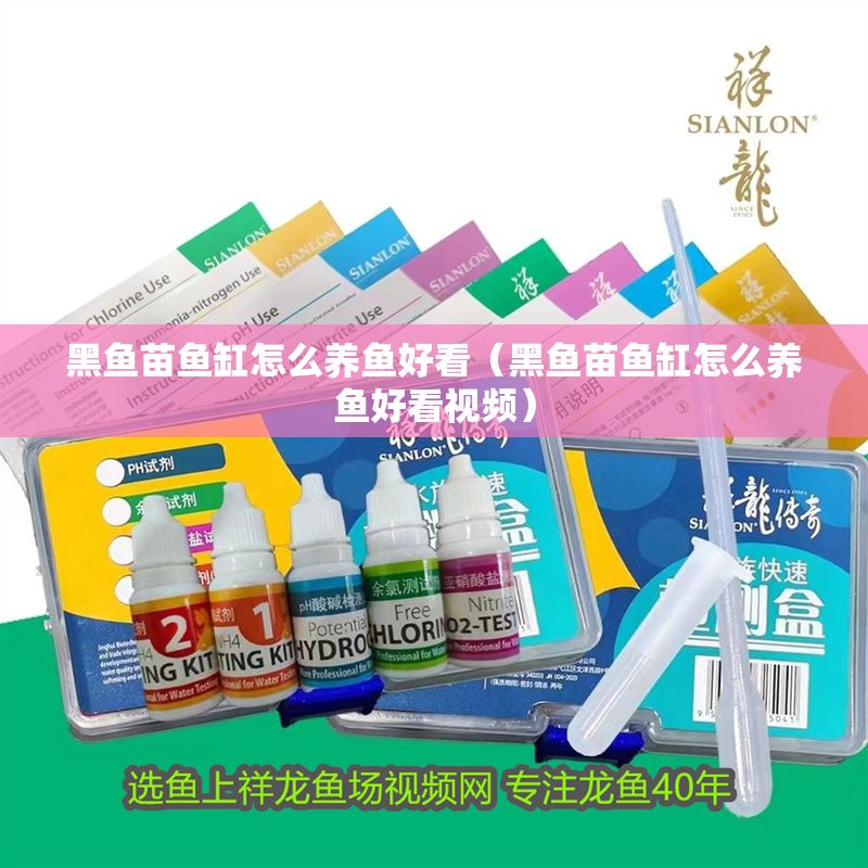 黑魚苗魚缸怎么養魚好看（黑魚苗魚缸怎么養魚好看視頻）