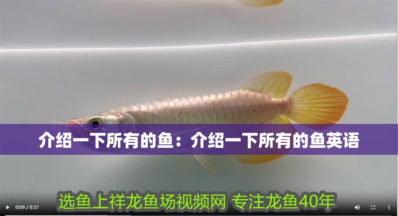 介紹一下所有的魚：介紹一下所有的魚英語 介紹一下所有的魚：介紹一下所有的魚英語 龍魚百科 第2張