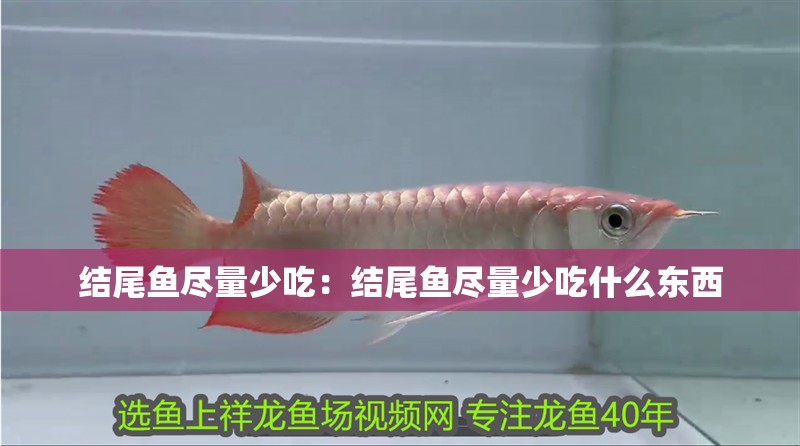 結尾魚盡量少吃：結尾魚盡量少吃什么東西