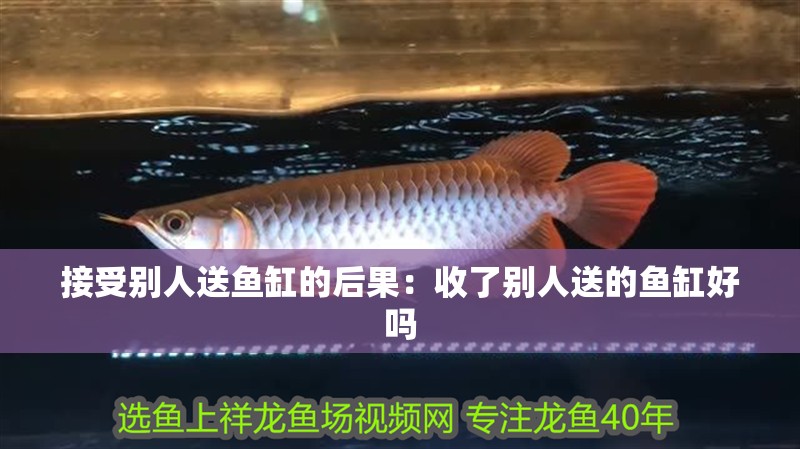 接受別人送魚缸的后果：收了別人送的魚缸好嗎