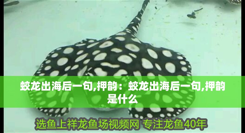 蛟龍出海后一句,押韻：蛟龍出海后一句,押韻是什么