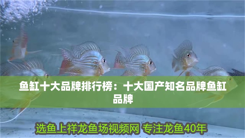 魚缸十大品牌排行榜：十大國產知名品牌魚缸品牌