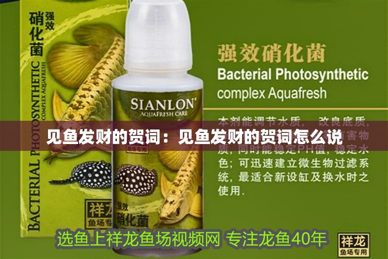 見魚發(fā)財(cái)?shù)馁R詞：見魚發(fā)財(cái)?shù)馁R詞怎么說