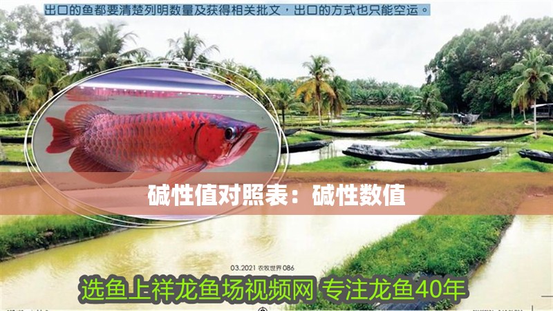 堿性值對照表：堿性數值